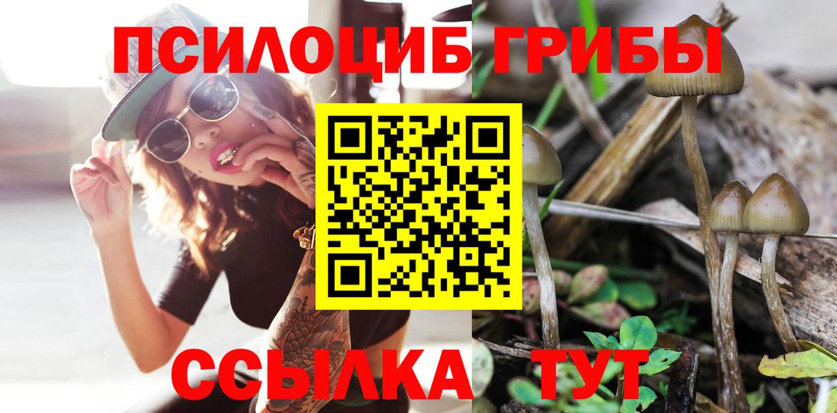 Псилоцибиновые грибы прущие грибы Брянск